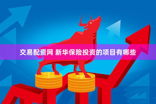 交易配资网 新华保险投资的项目有哪些